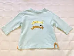 モイモルン　80〜90cmのサムネイル
