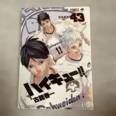 2025年最新】ハイキュー！！JC柄クリアファイルコレクションの