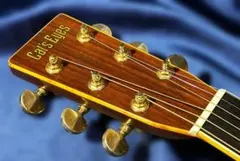 2026年最新】tokai アコースティックギターの人気アイテム - メルカリ