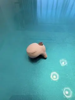 SONY ソニー　WF-1000XM4 ワイヤレスイヤホンL