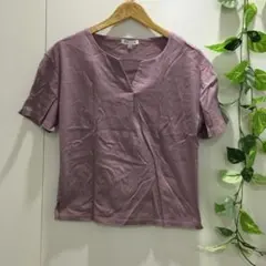 ザショップティーケー 半袖カットソー ピンク Ｓ スキッパー 綿100%のサムネイル