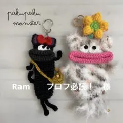 Ram　　プロフ必読！　様　【2個セット】