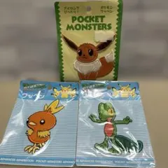 海外限定 !! 】ミズゴロウ・キモリ・アチャモ ポケモン 金属製