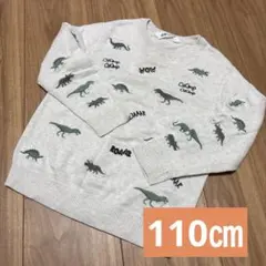 Item thumbnail for item 6d75e2c9-1362-43dd-8a6a-a4131990aa02