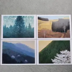 2025年最新】読売新聞額絵シリーズの人気アイテム - メルカリ