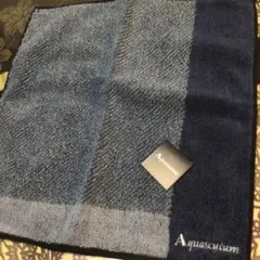 Item thumbnail for item 28aada2d-ed4f-4a95-bb3a-b70ba92659c1