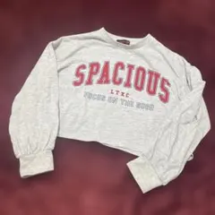 ラブトキシック　ロンT ライトグレー　140サイズ