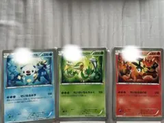 ポケモンカード ポカブ ツタージャ ミジュマル プロモ ローソン 30周年
