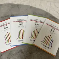基礎学力到達度テスト過去問　2025年度版　国数英物理