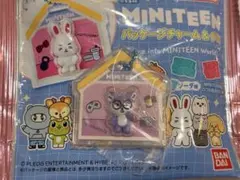 MINITEEN パッケージチャーム＆グミ ウォヌのサムネイル