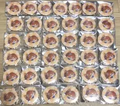 2025年最新】めいちゃん 缶バッジ 僕等の色彩の人気アイテム