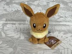 新品タグ付 ポケットモンスター イーブイ Pokémon fit ぬいぐるみ