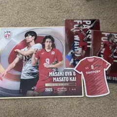 バレーボール　男子日本代表　mini色紙　甲斐優斗　大宅真樹　直筆サイン 甲斐優斗 大宅真樹 ミニ色紙 2025男子バレーボール 直筆サイン