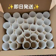 Item thumbnail for item 5f867378-f5ee-44f9-a5e4-a809f695178c