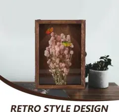 標本箱 ディスプレイケース 木製 31x22cm ダークブラウン