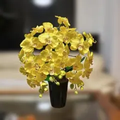 Item thumbnail for item ca86090e-0031-4907-9aa9-b3ceb85bfaaa