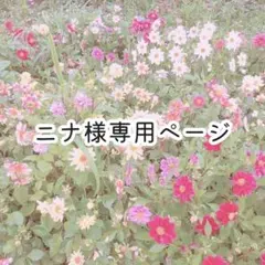 ニナ様専用ページ/オーダー5種