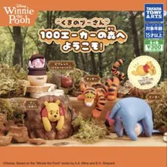 新品未使用 Disney ディズニー プーさん 100エーカーの森へようこそ