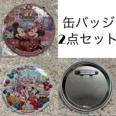 東京ディズニーランド缶バッジ2点セット
