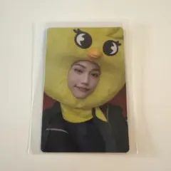 MAXIDENT フィリックス トレカ