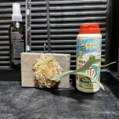 ムック様 リクエスト 2点 まとめ商品