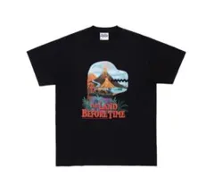 2026年最新】ダイアナロス tシャツの人気アイテム - メルカリ