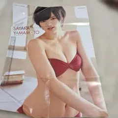 ​希少NMB48 山本彩 矢倉楓子 両面特大ポスター ヤングアニマル付録 水着