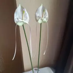 ホワイト　アンスリウム　リングピロー　ウェディング　ウェルカムスペース