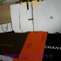 ハイブランドSHOPバック１２点セット