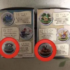 ポケモン　テラリウムコレクション14