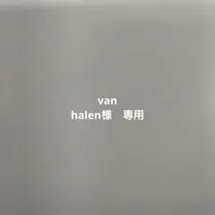 van様用　棚板3枚