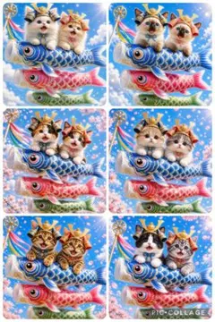 ５/3〆切り‼️最新柄‼️パネル生地　猫