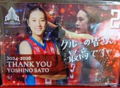 NEC川崎 2佐藤淑乃選手退団記念グッズ　アクリルスタンドのサムネイル