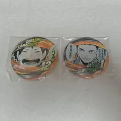 ハイキュー　ファンパーク　缶バッジ