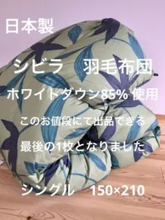 冬用 新品【シビラ】羽毛布団（150×210）シングル（モリノ）ブルー