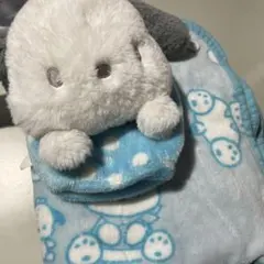 サンリオ　ポチャッコ　ぬいぐるみブランケット/クッション
