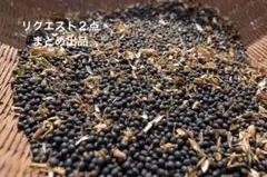 ちゃんまる様 リクエスト 2点 まとめ商品