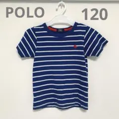 POLO 120cm ボーダー Tシャツ ネイビー/ホワイト