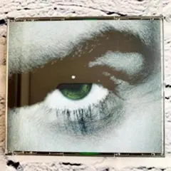 Item thumbnail for item e8814314-8807-4105-83c0-78fef07127bd