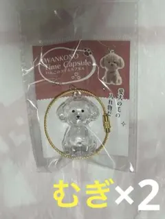 HAL様専用　むぎ2個