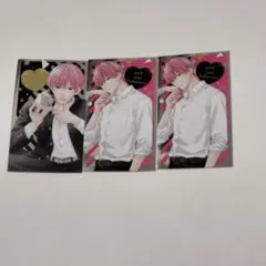 ピンクとハバネロ　メタリックカード・くじメイト 証明写真館