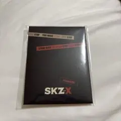 straykids ID picture set スキズ　証明写真