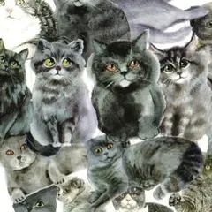 Item thumbnail for item 3208d991-7207-4ca5-ac24-62d00a2aabe9