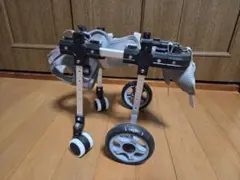 Item thumbnail for item c2d5c724-e90e-4c6d-89dd-dcbcdf7f9933