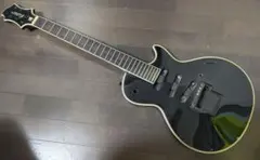 Item thumbnail for item d0208ff0-d2f6-4639-9388-56d2f30cf60c