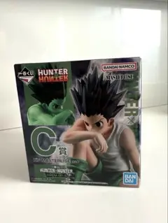 一番くじ「HUNTER×HUNTER CHMERA ANT②」 C賞 ゴン