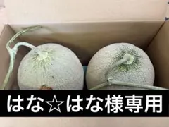 【はな☆はな様専用】【共撰品】夕張メロン　優品　2玉入箱　1玉約2kg前後