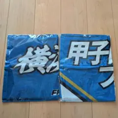 健大高崎 応援タオル マフラータオル 高校野球【未使用】シャーペン