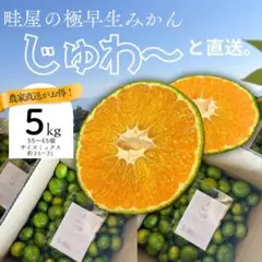 みかんさん、専用です。 有機JAS認証】右田さんちのべっぴんさん 肥のみらい 10kg《贈答