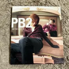 pool bit boys/WINGBEAT